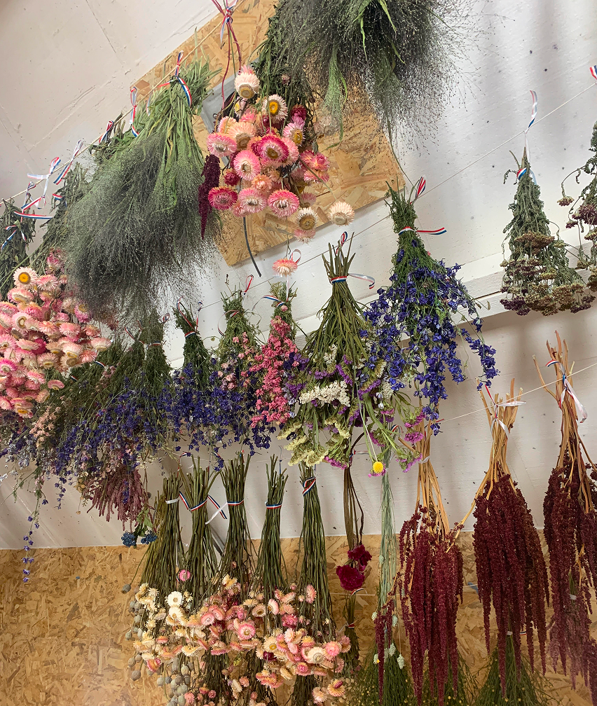 Bouquets de fleurs suspendues tête en bas à un mur pour les secher