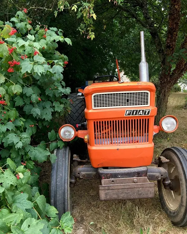 Tracteur orange vu de face à côté d'un arbuste à la ferme florale et apicole
